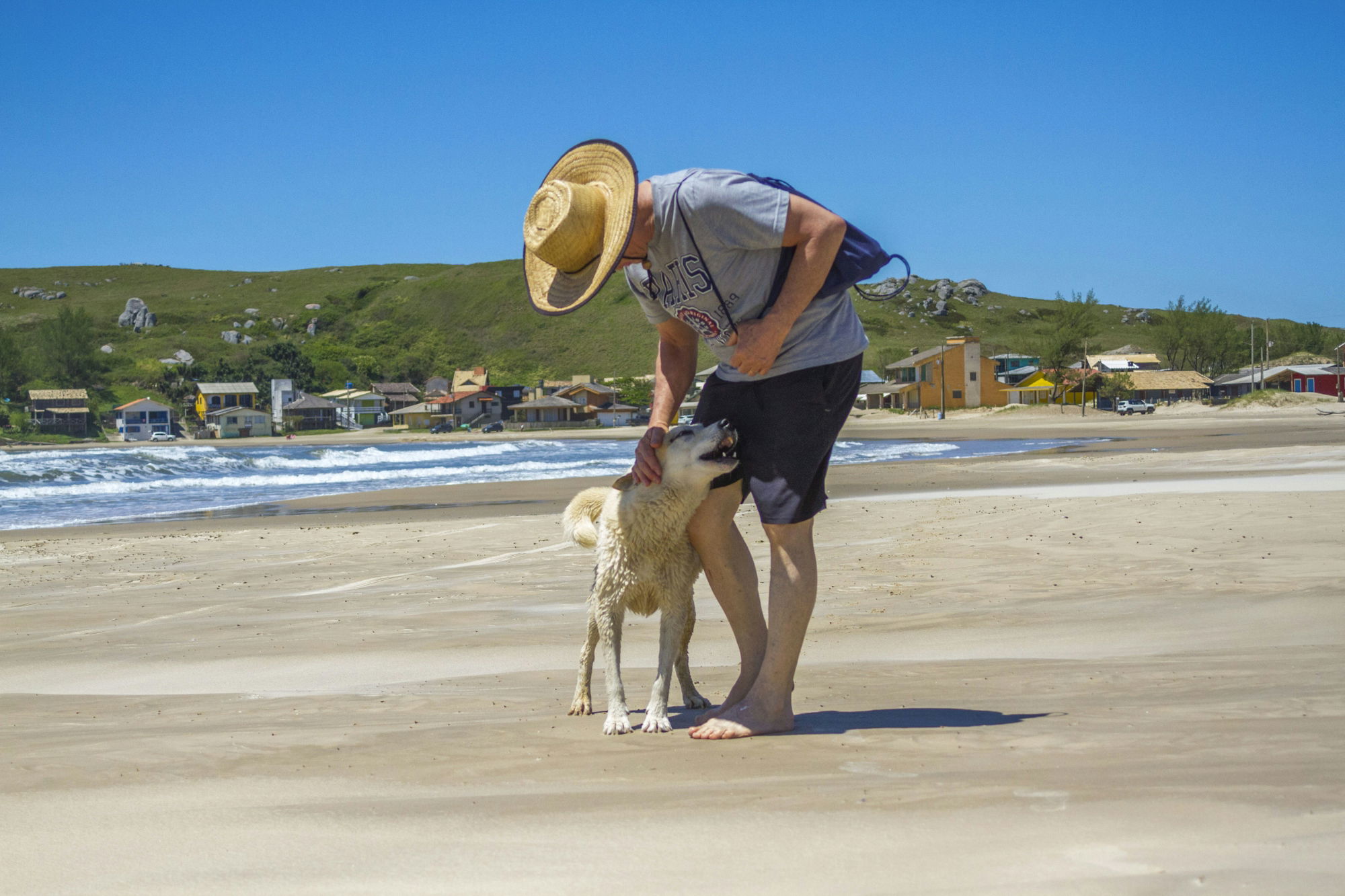 A man with a hat and a dog on a beach